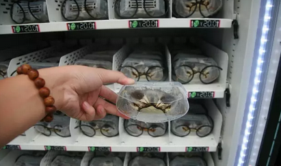 大宝娱乐-LG游戏|PT游戏|CQ9游戏