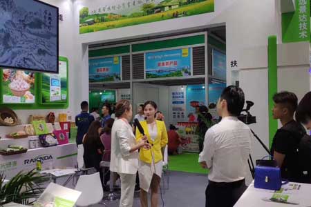 大宝娱乐-LG游戏|PT游戏|CQ9游戏